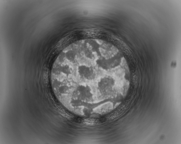 X0000098010757200804251114