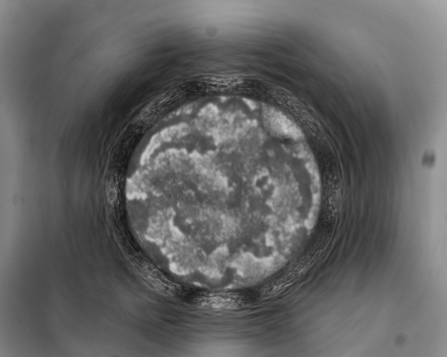 X0000098010758200804251114