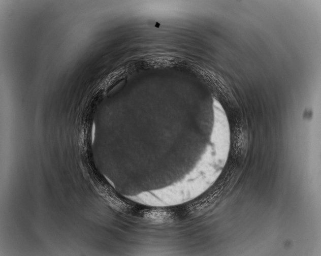 X0000098010759200804251114