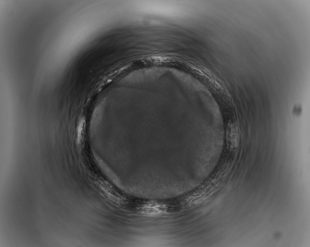 X0000098010760200804251114