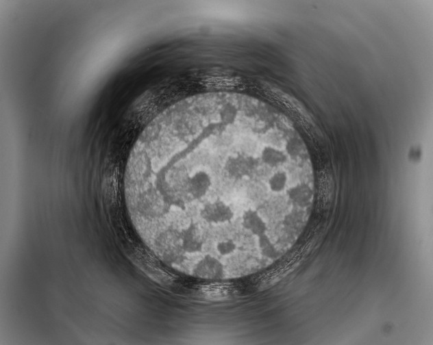 X0000098010761200804251114