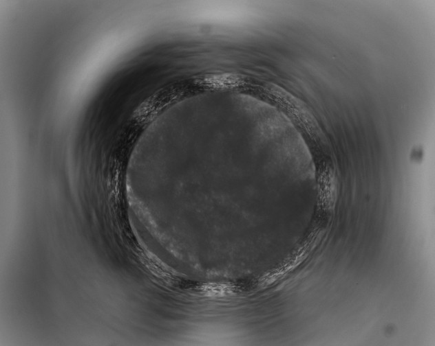 X0000098010762200804251114