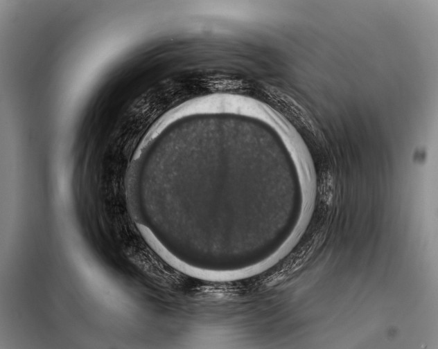 X0000098010763200804251114