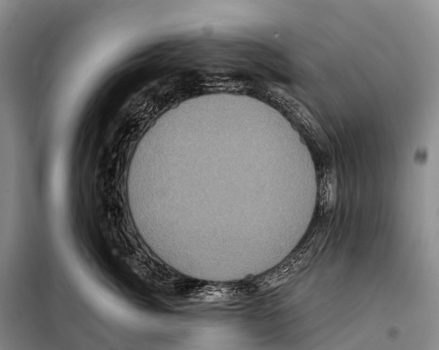 X0000098010764200804251114