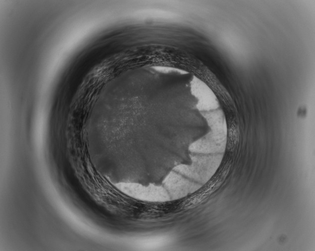 X0000098010765200804251114