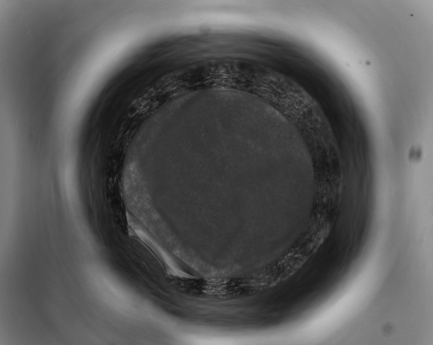 X0000098010766200804251114