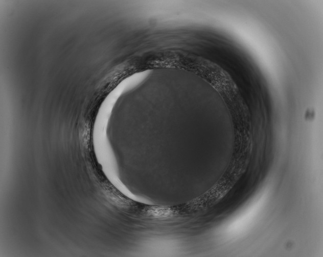 X0000098010767200804251114