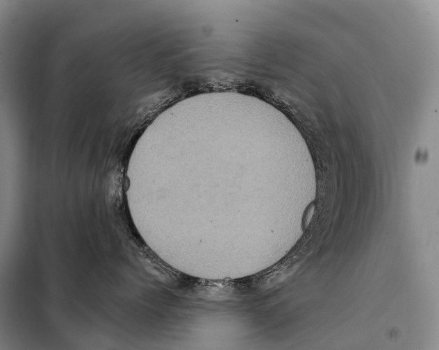 X0000098010768200804251114