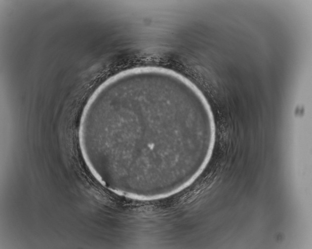 X0000098010769200804251113