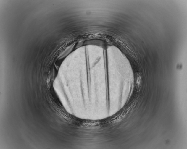 X0000098010771200804251113