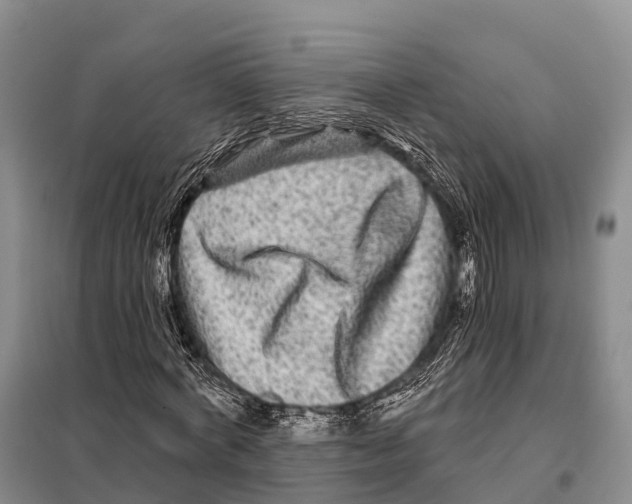 X0000098010772200804251113