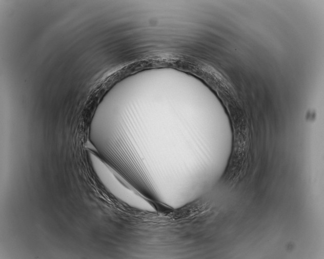 X0000098010773200804251113