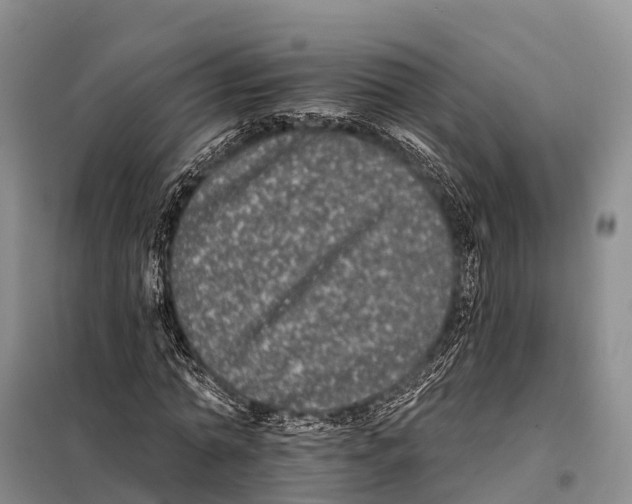 X0000098010774200804251113