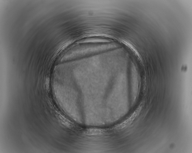 X0000098010777200804251113