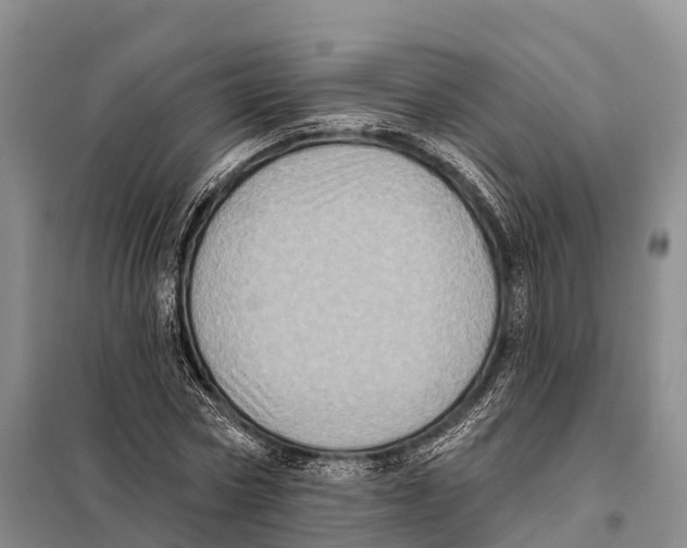 X0000098010778200804251113