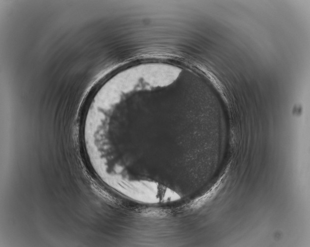 X0000098010779200804251113