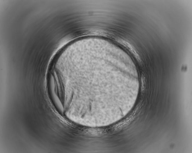 X0000098010780200804251113