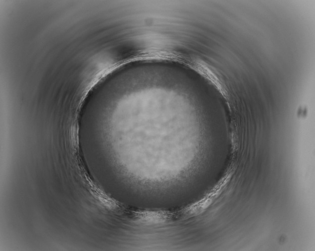 X0000098010781200804251113