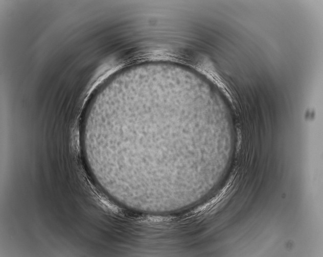 X0000098010782200804251113