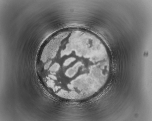 X0000098010783200804251113