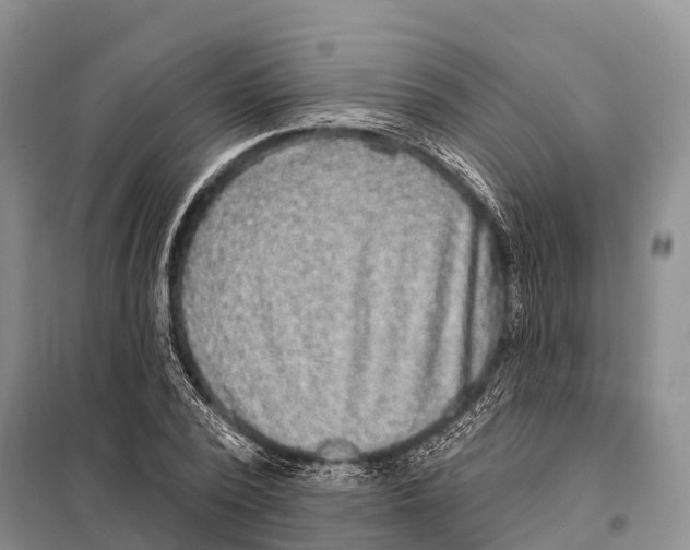 X0000098010784200804251113