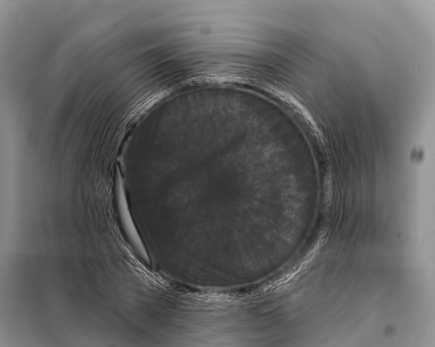 X0000098010785200804251113