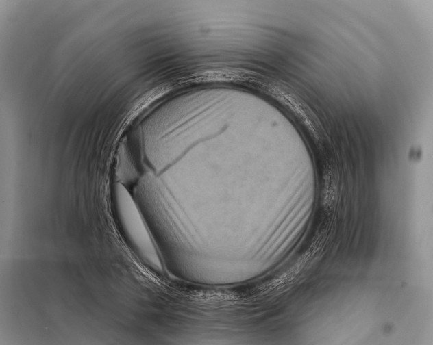 X0000098010786200804251113