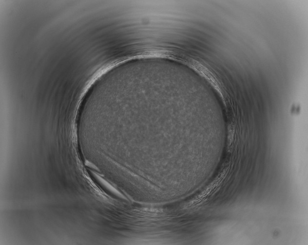 X0000098010789200804251113