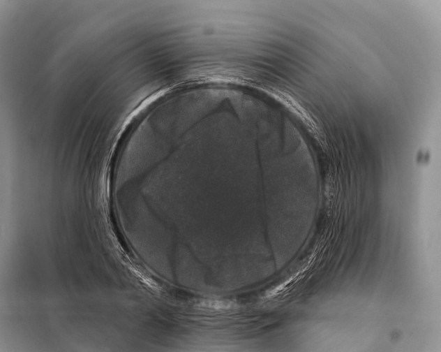 X0000098010790200804251113