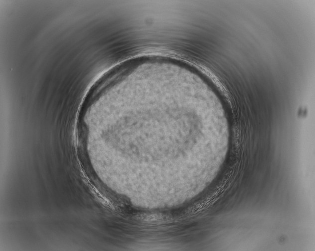 X0000098010791200804251113