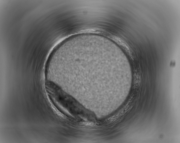 X0000098010792200804251113