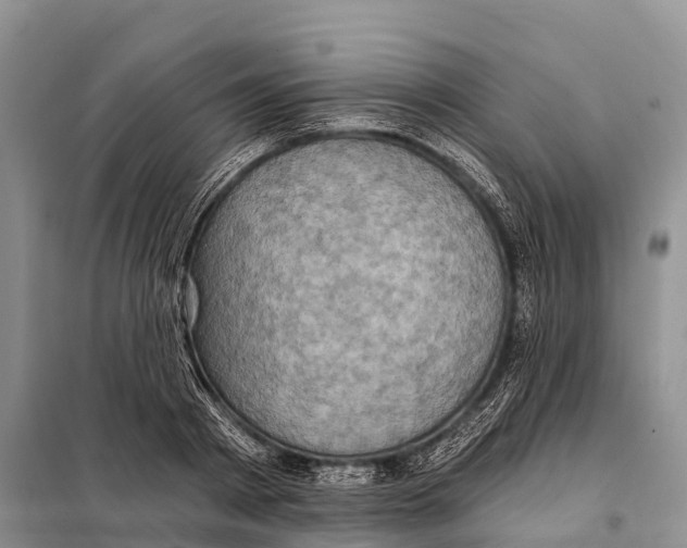 X0000098010793200804251113