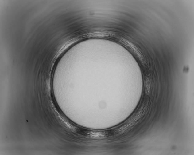 X0000098010794200804251113