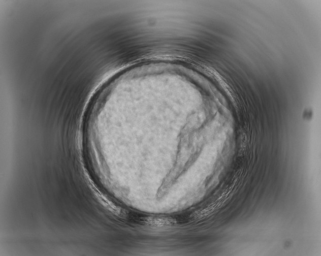 X0000098010795200804251113