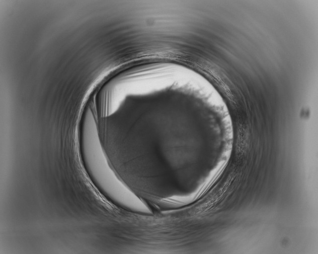 X0000098010796200804251113