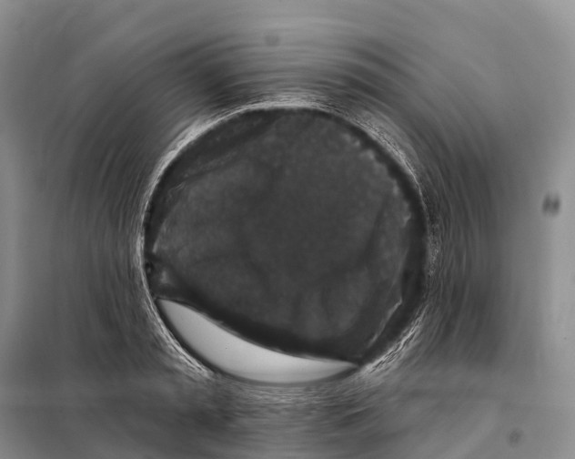 X0000098010797200804251113