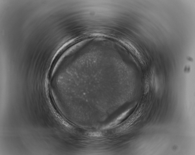 X0000098010798200804251113