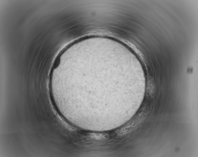 X0000098010799200804251113