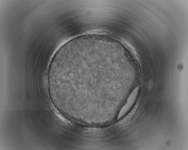 X0000098010800200804251113