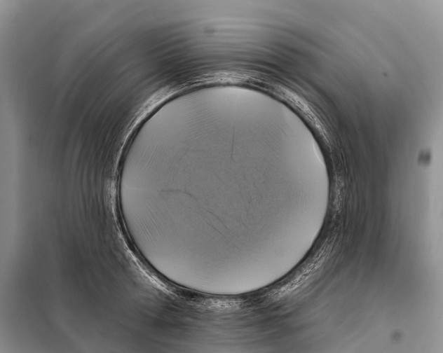 X0000098010802200804251113