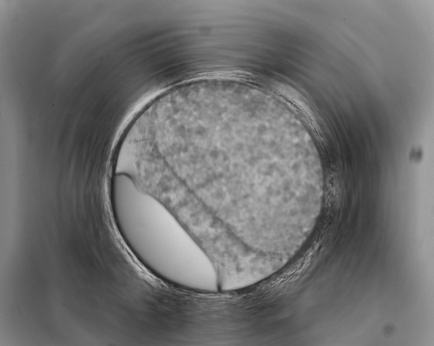 X0000098010804200804251113