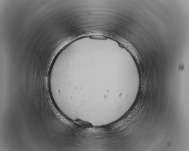 X0000098010805200804251113