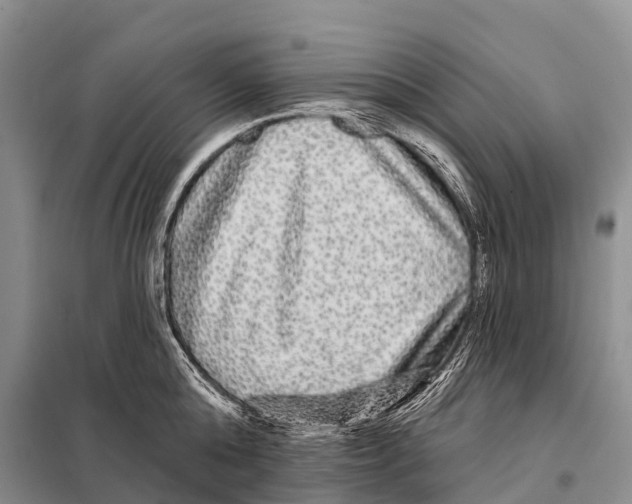 X0000098010808200804251113