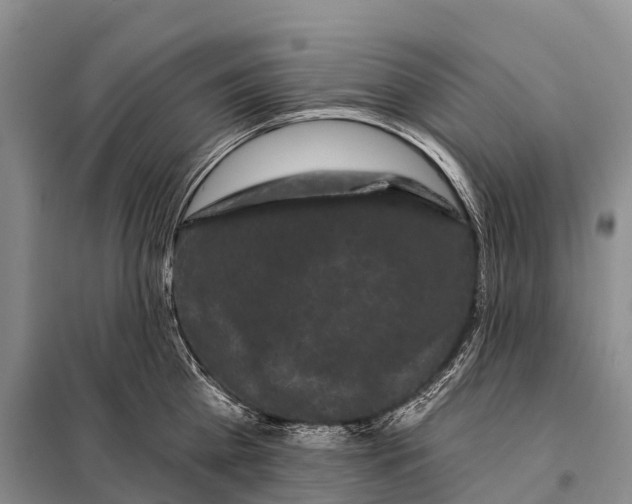 X0000098010809200804251113