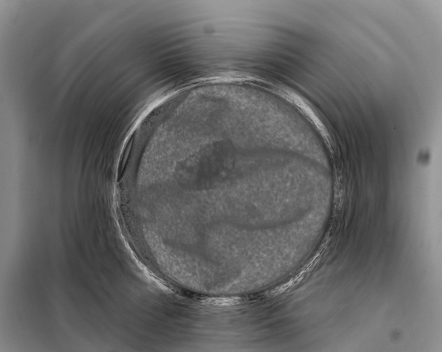 X0000098010810200804251113