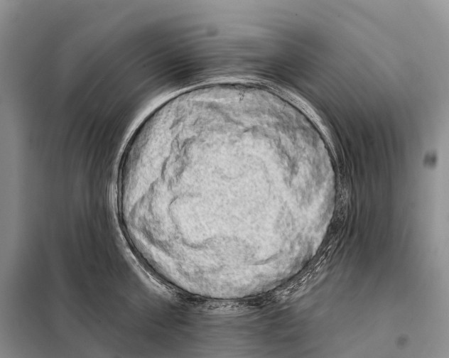 X0000098010811200804251113