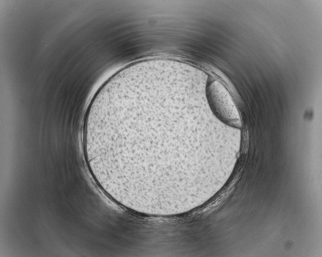 X0000098010812200804251113