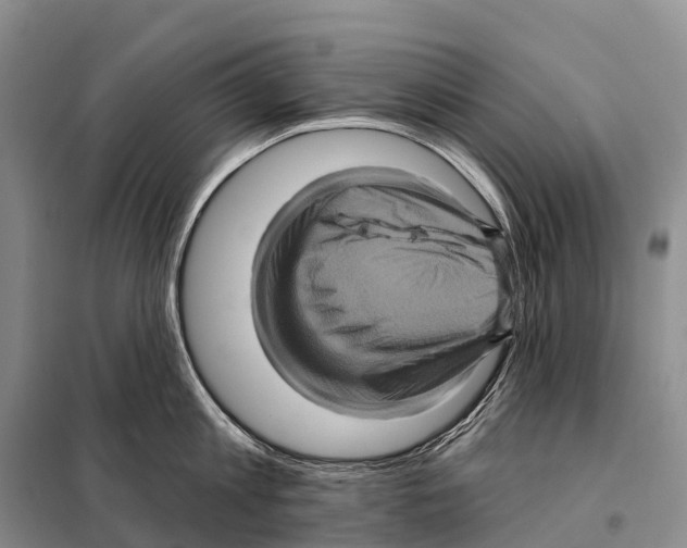 X0000098010813200804251113