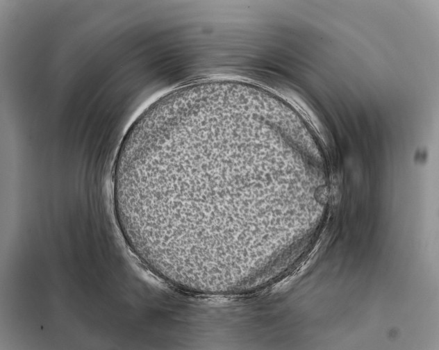 X0000098010814200804251113