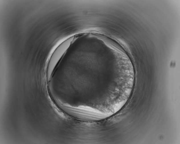 X0000098010816200804251113